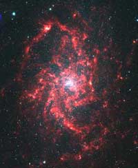 Pinwheel Galaxy (M33)